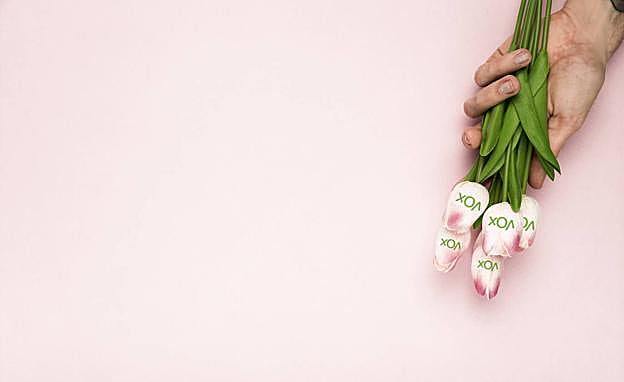 Vox en el Ayuntamiento de Granada: el cortejo al socio preferente