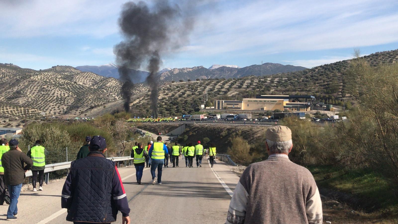 Miles de trabajadores del sector del olivar se han manifestado en toda la provincia de Jaén