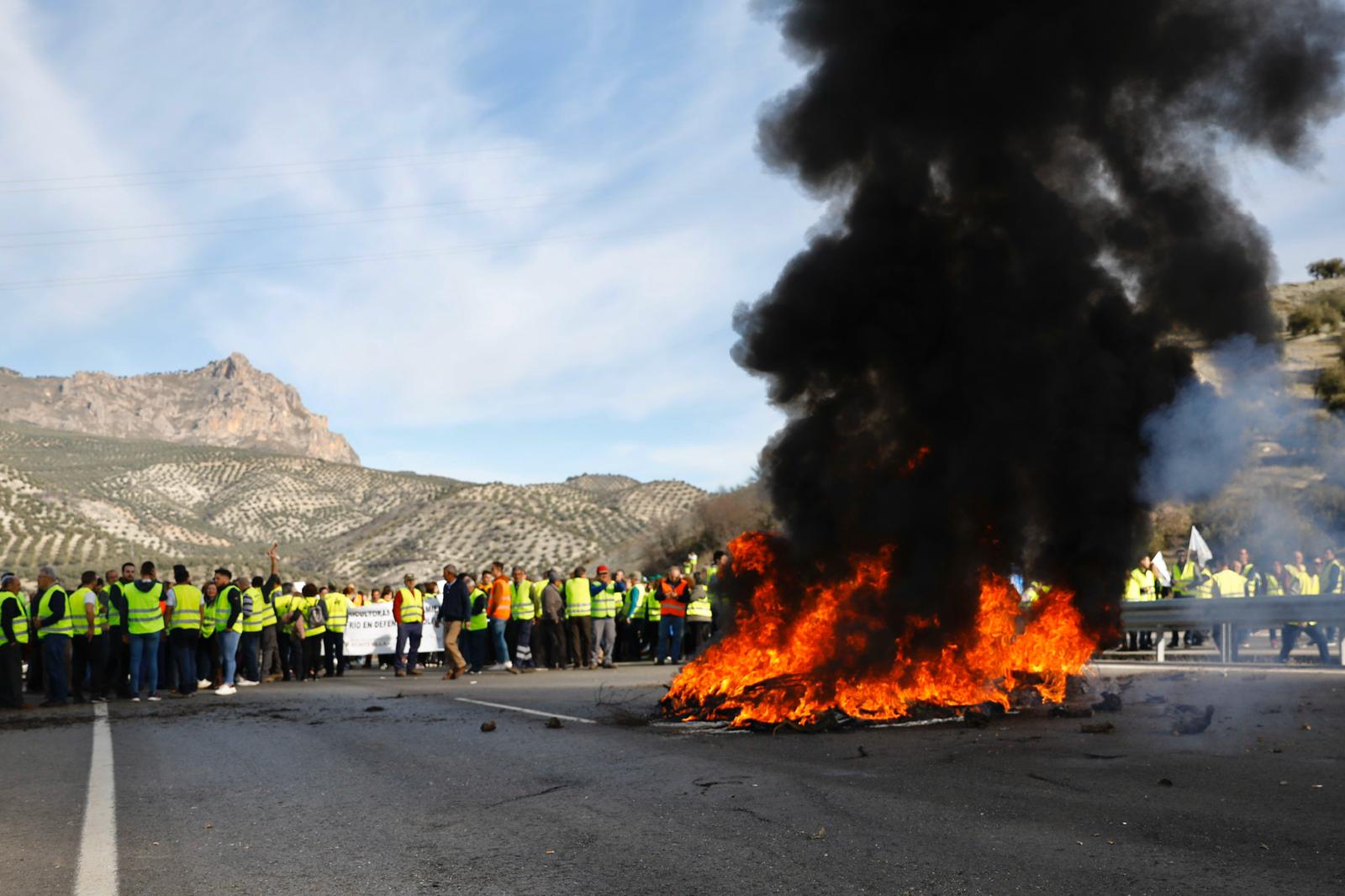 Miles de trabajadores del sector del olivar se han manifestado en toda la provincia de Jaén