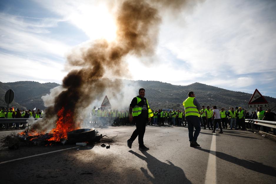 Miles de trabajadores del sector del olivar se han manifestado en toda la provincia de Jaén