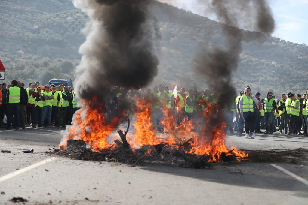 Miles de trabajadores del sector del olivar se han manifestado en toda la provincia de Jaén