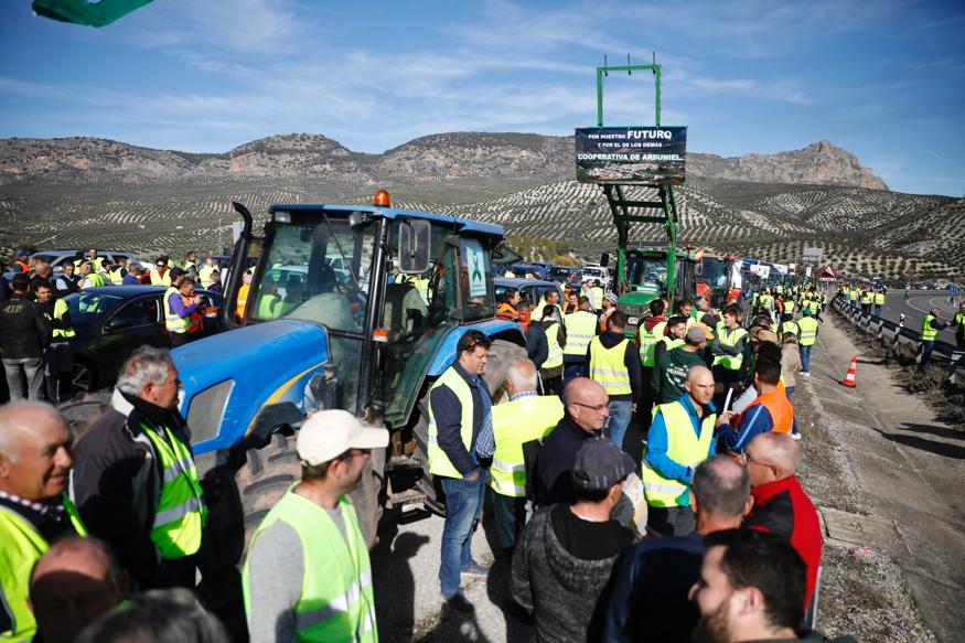 Miles de trabajadores del sector del olivar se han manifestado en toda la provincia de Jaén