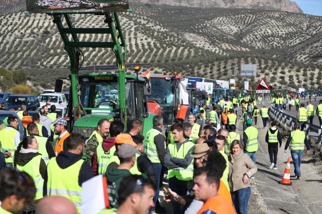Miles de trabajadores del sector del olivar se han manifestado en toda la provincia de Jaén