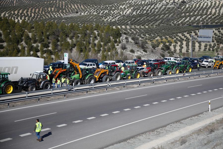 Miles de trabajadores del sector del olivar se han manifestado en toda la provincia de Jaén