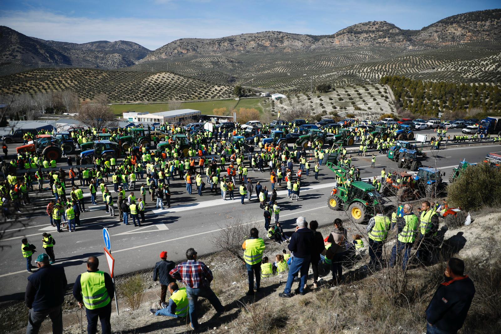 Miles de trabajadores del sector del olivar se han manifestado en toda la provincia de Jaén