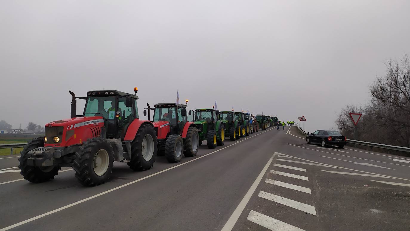 Miles de trabajadores del sector del olivar se han manifestado en toda la provincia de Jaén
