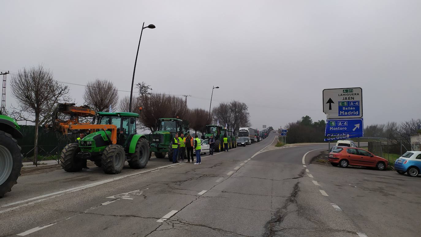 Miles de trabajadores del sector del olivar se han manifestado en toda la provincia de Jaén