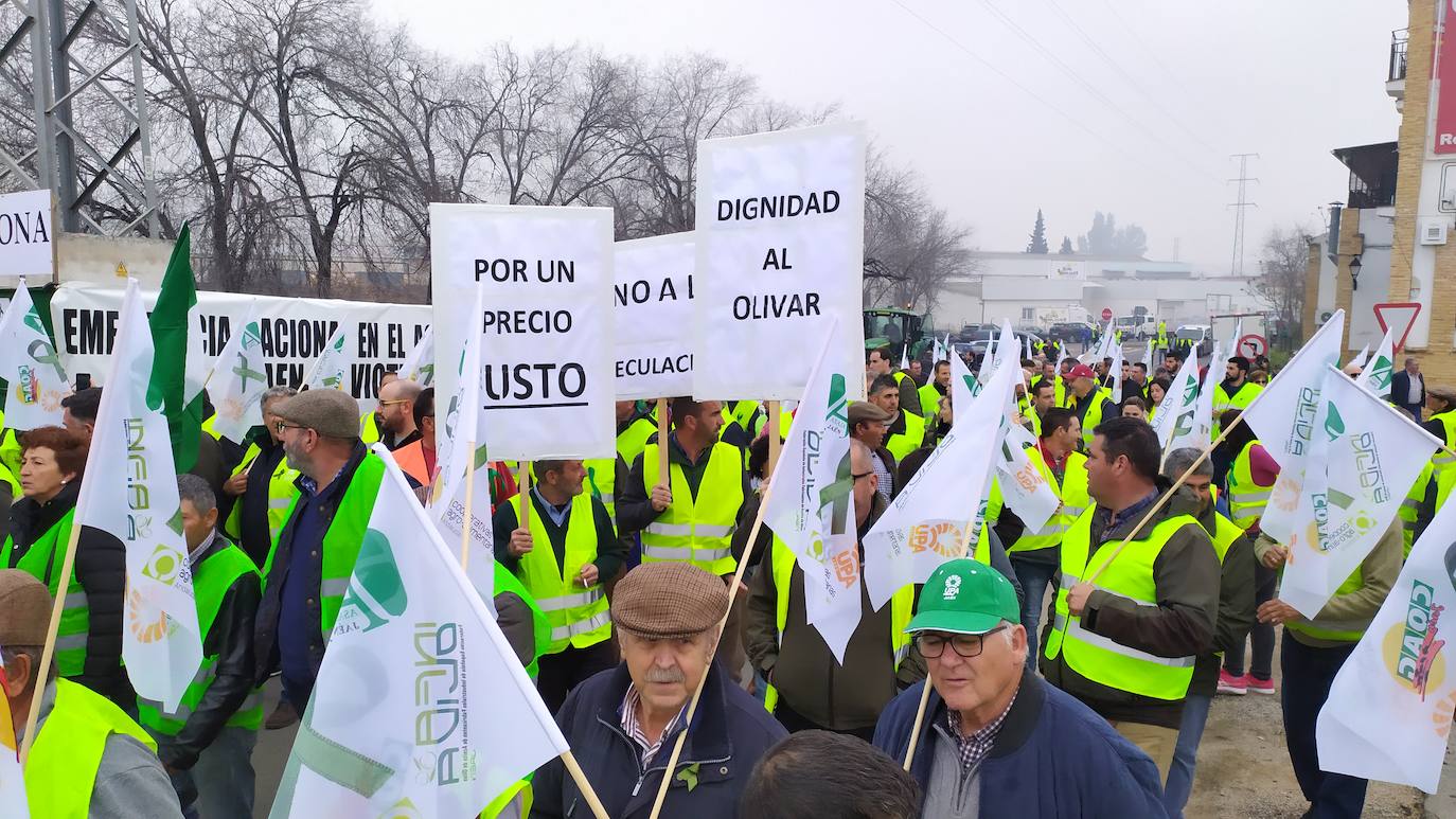 Miles de trabajadores del sector del olivar se han manifestado en toda la provincia de Jaén