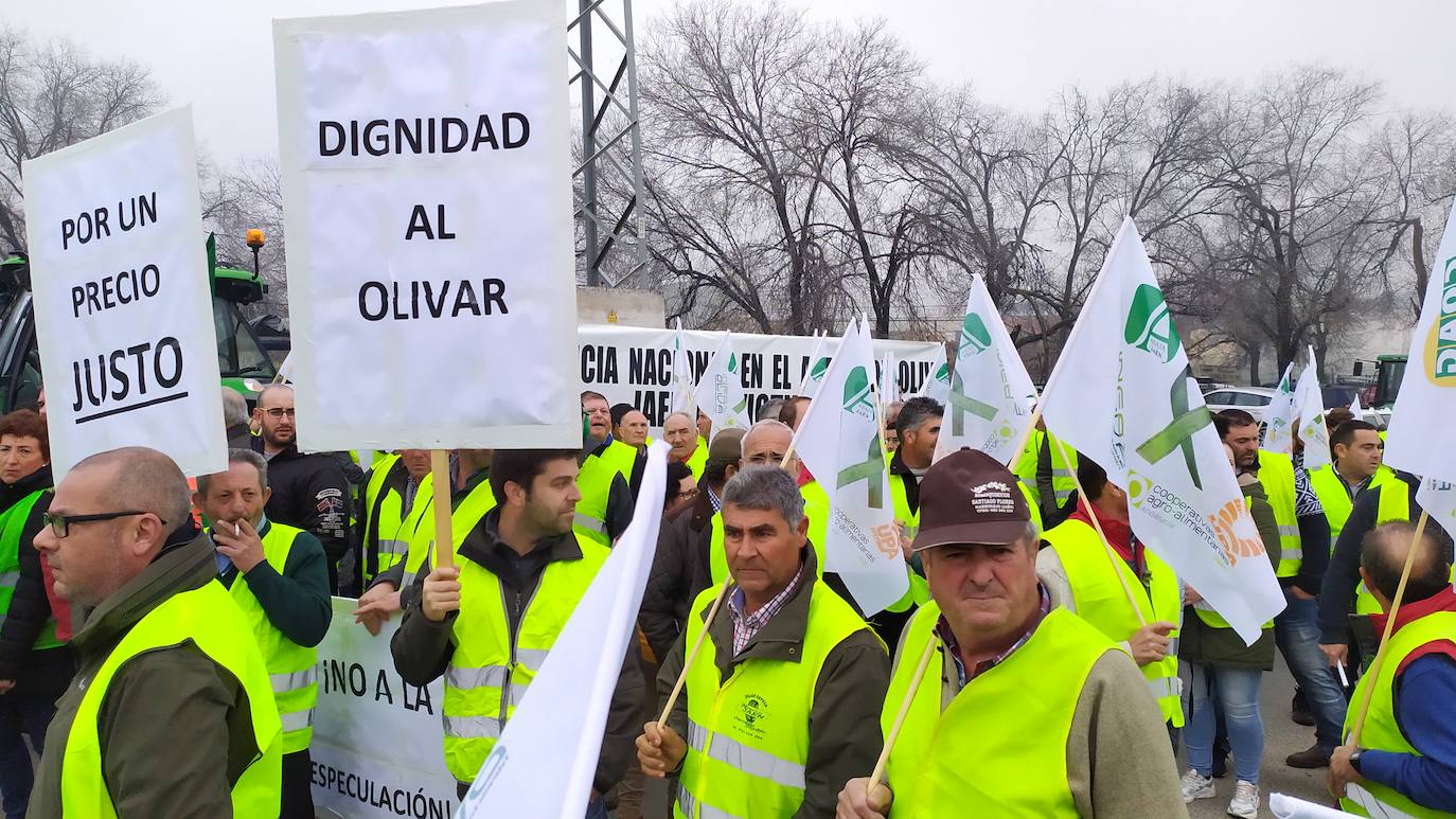 Miles de trabajadores del sector del olivar se han manifestado en toda la provincia de Jaén