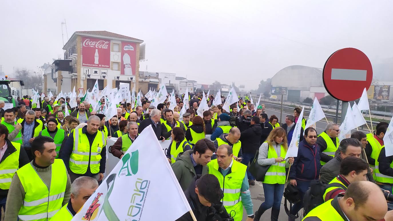 Miles de trabajadores del sector del olivar se han manifestado en toda la provincia de Jaén