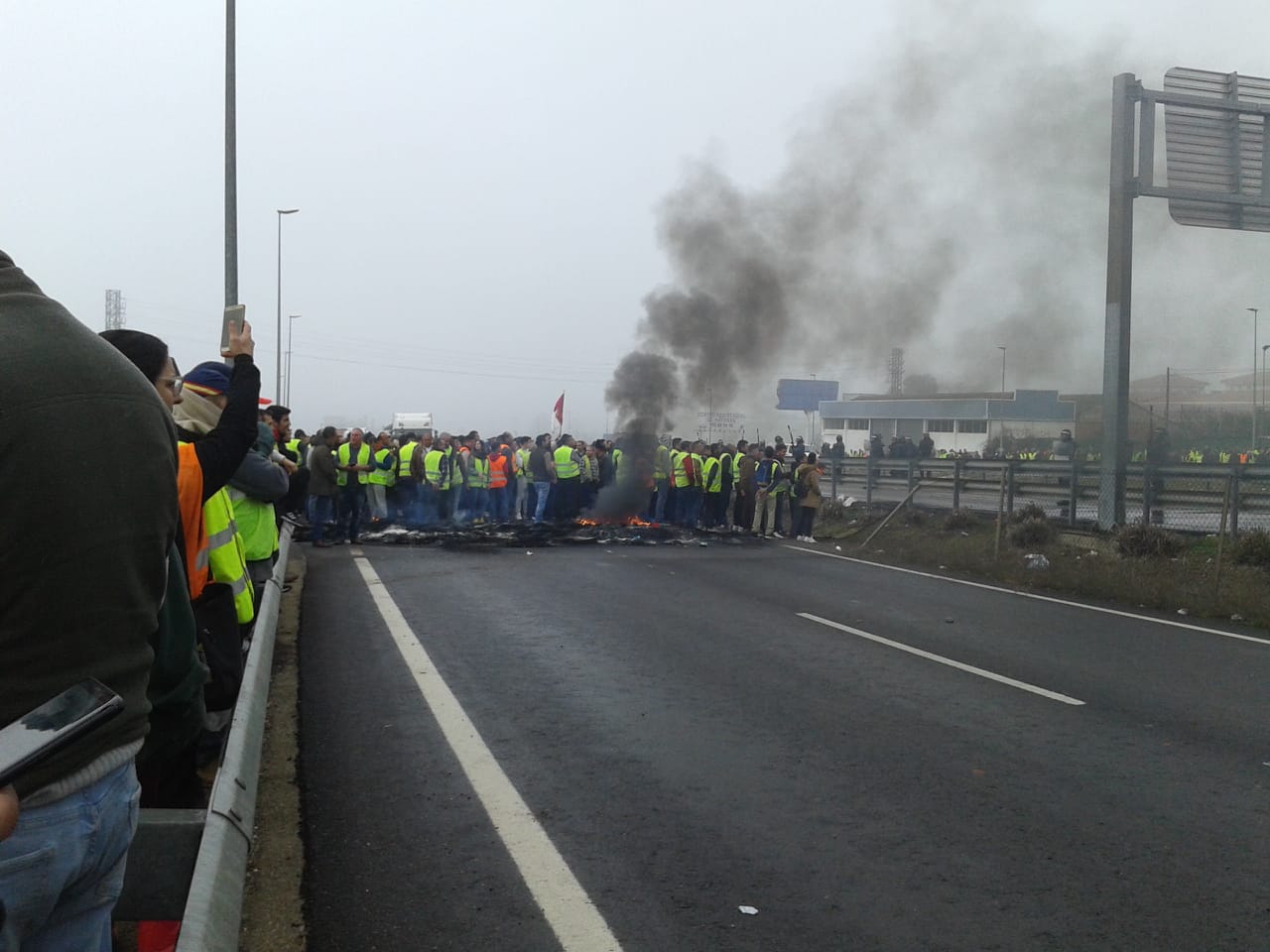Miles de trabajadores del sector del olivar se han manifestado en toda la provincia de Jaén