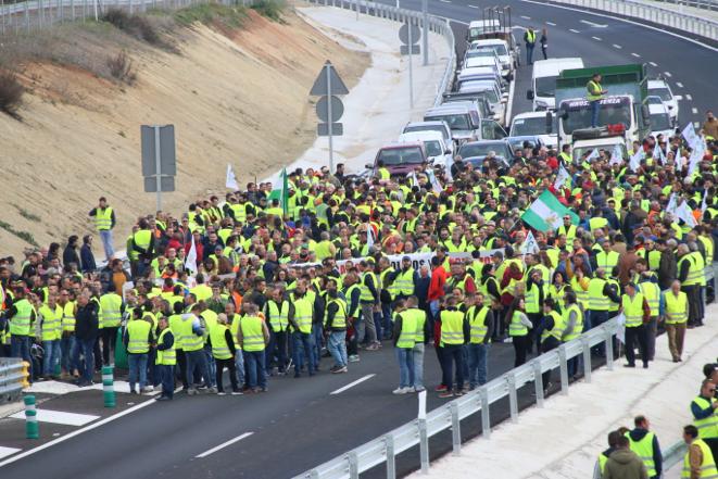 Miles de trabajadores del sector del olivar se han manifestado en toda la provincia de Jaén