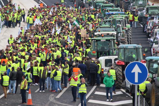 Miles de trabajadores del sector del olivar se han manifestado en toda la provincia de Jaén