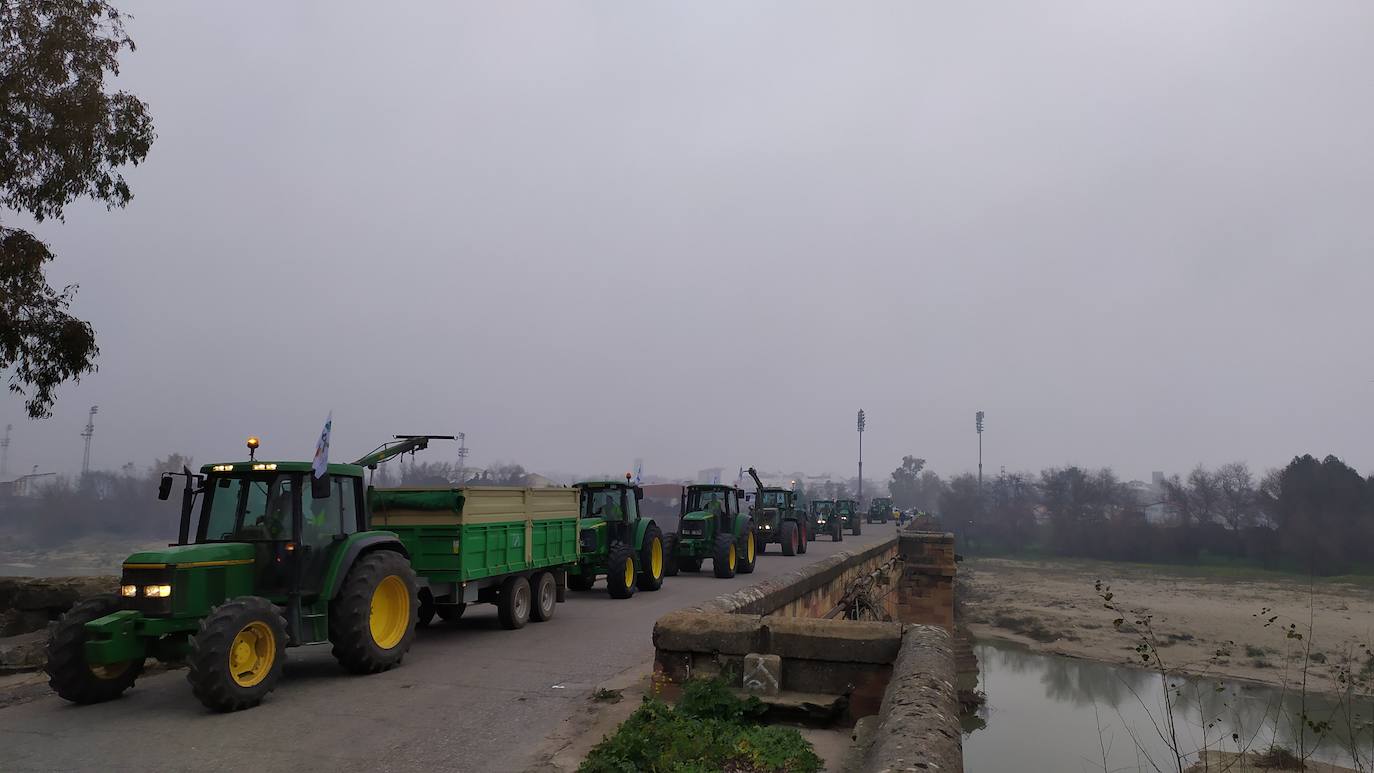 Miles de trabajadores del sector del olivar se han manifestado en toda la provincia de Jaén
