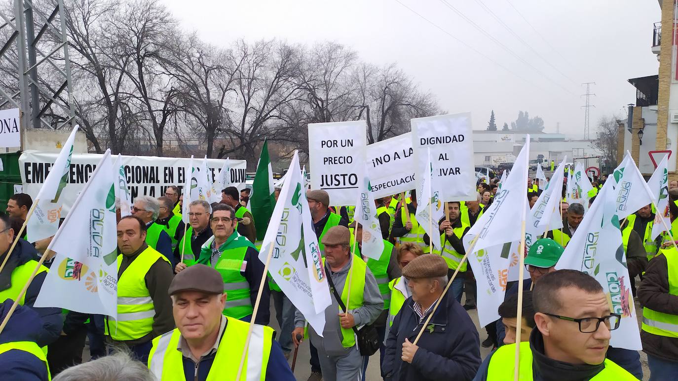 Miles de trabajadores del sector del olivar se han manifestado en toda la provincia de Jaén