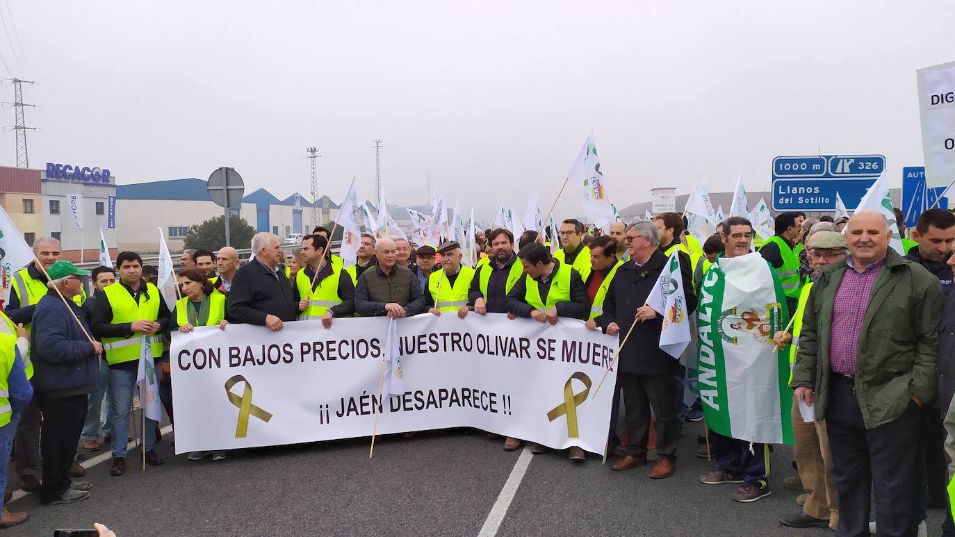 Miles de trabajadores del sector del olivar se han manifestado en toda la provincia de Jaén