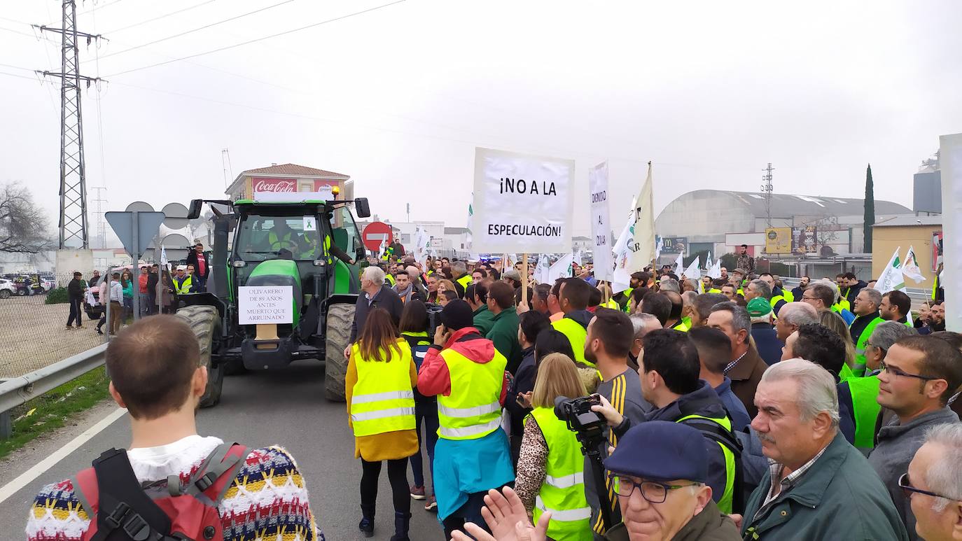 Miles de trabajadores del sector del olivar se han manifestado en toda la provincia de Jaén