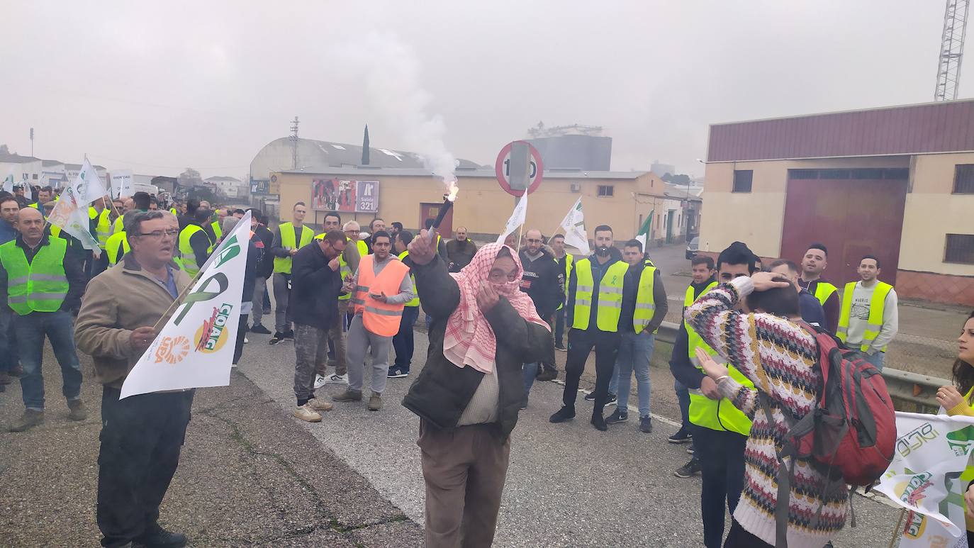 Miles de trabajadores del sector del olivar se han manifestado en toda la provincia de Jaén