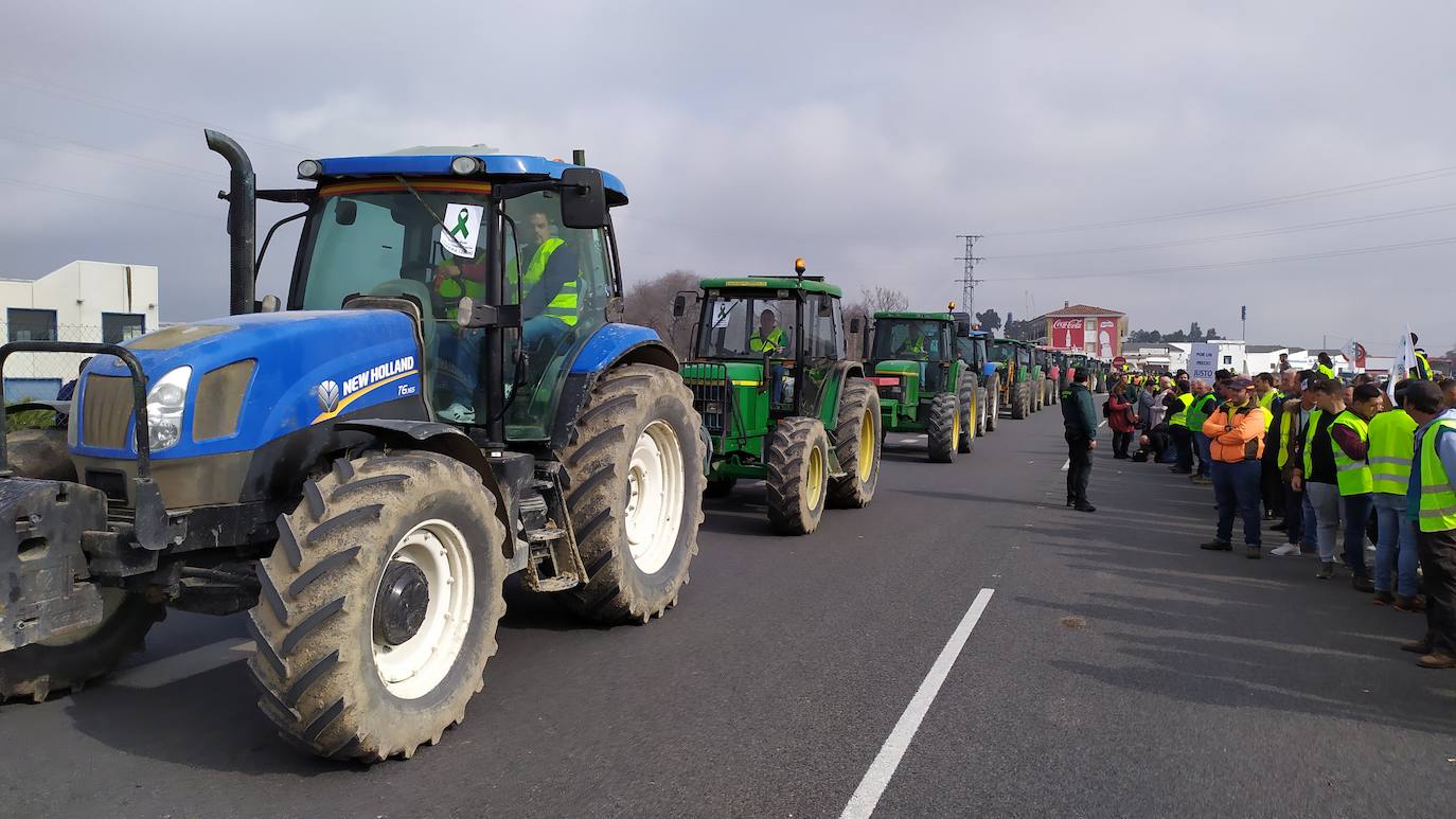 Miles de trabajadores del sector del olivar se han manifestado en toda la provincia de Jaén