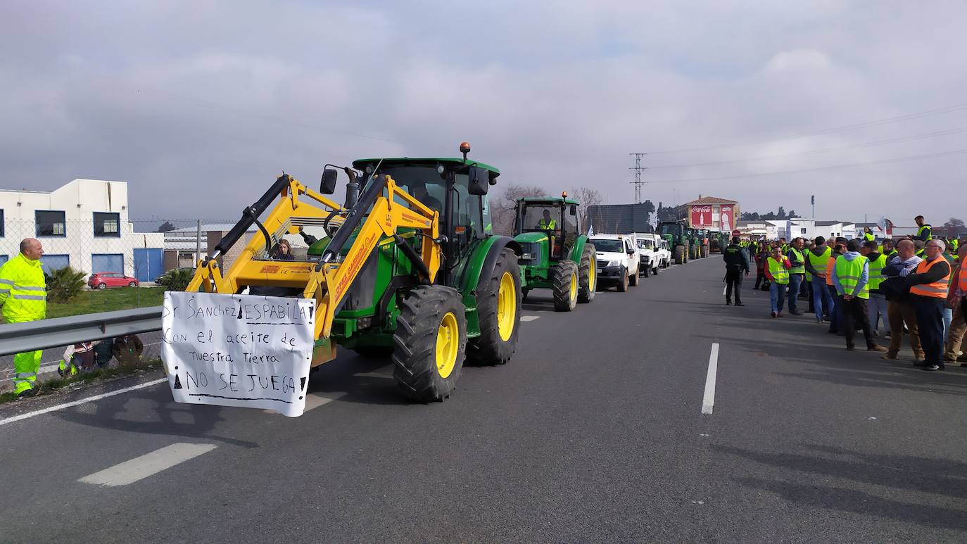 Miles de trabajadores del sector del olivar se han manifestado en toda la provincia de Jaén