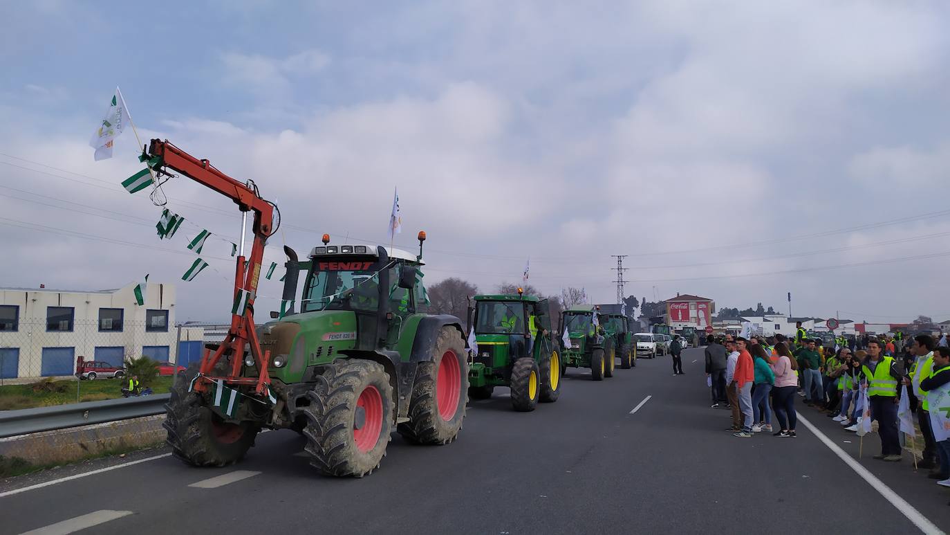 Miles de trabajadores del sector del olivar se han manifestado en toda la provincia de Jaén