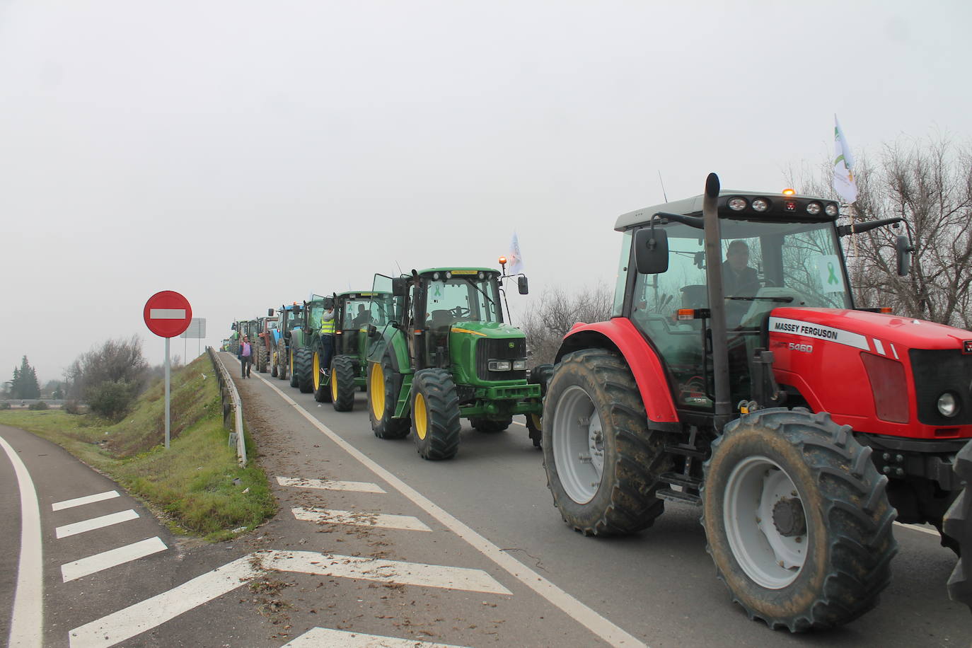 Miles de trabajadores del sector del olivar se han manifestado en toda la provincia de Jaén