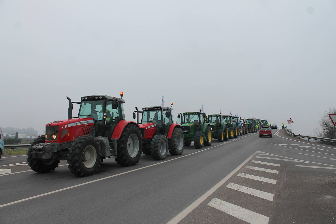 Miles de trabajadores del sector del olivar se han manifestado en toda la provincia de Jaén