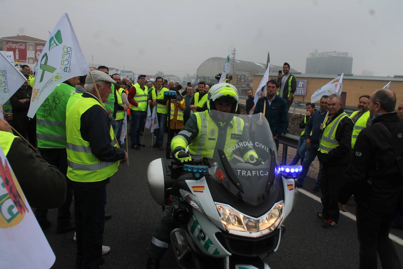 Miles de trabajadores del sector del olivar se han manifestado en toda la provincia de Jaén