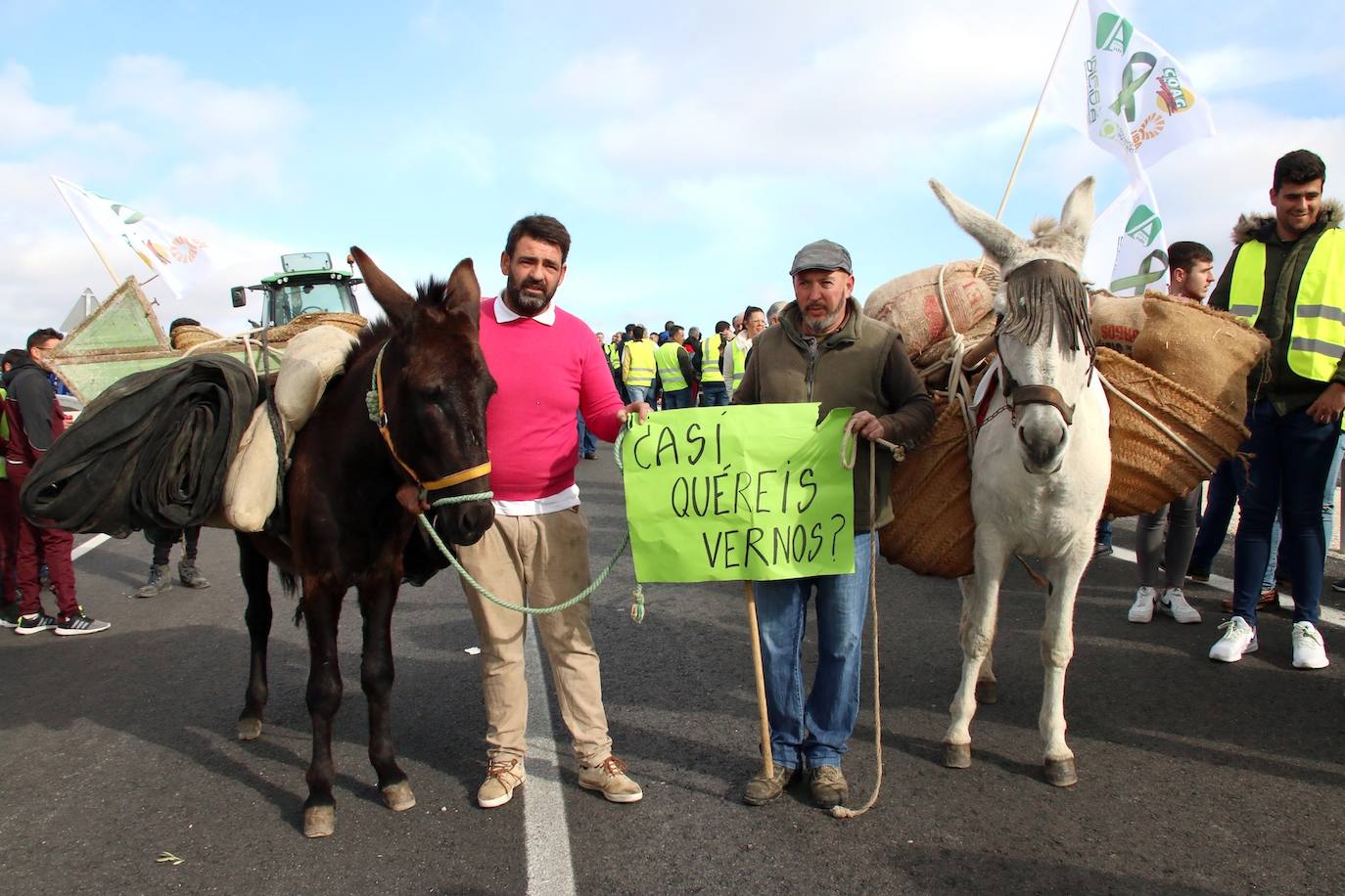 Miles de trabajadores del sector del olivar se han manifestado en toda la provincia de Jaén