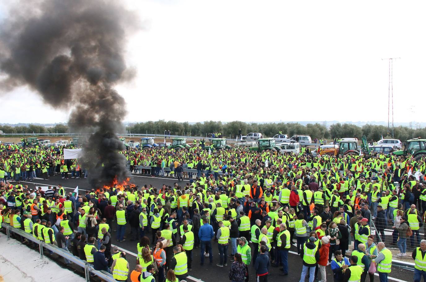 Miles de trabajadores del sector del olivar se han manifestado en toda la provincia de Jaén