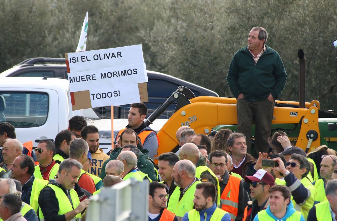 Miles de trabajadores del sector del olivar se han manifestado en toda la provincia de Jaén