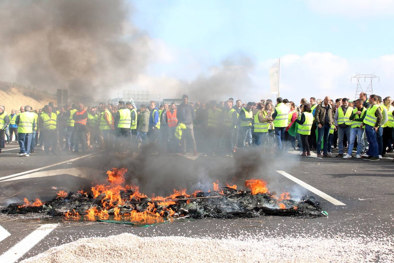 Miles de trabajadores del sector del olivar se han manifestado en toda la provincia de Jaén