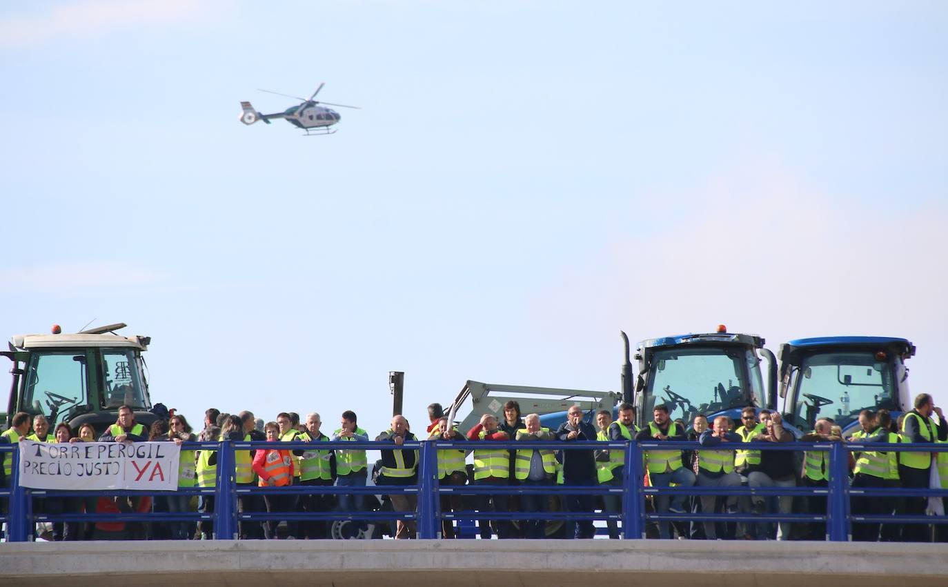 Miles de trabajadores del sector del olivar se han manifestado en toda la provincia de Jaén