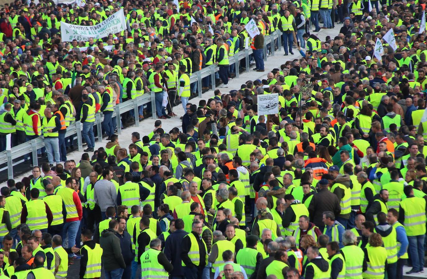 Miles de trabajadores del sector del olivar se han manifestado en toda la provincia de Jaén