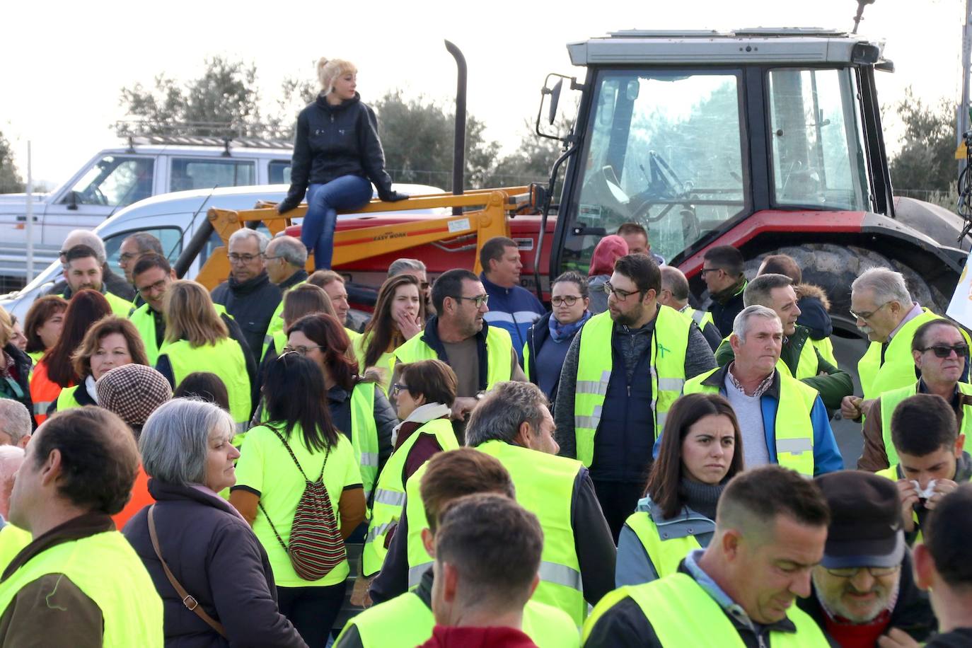 Miles de trabajadores del sector del olivar se han manifestado en toda la provincia de Jaén