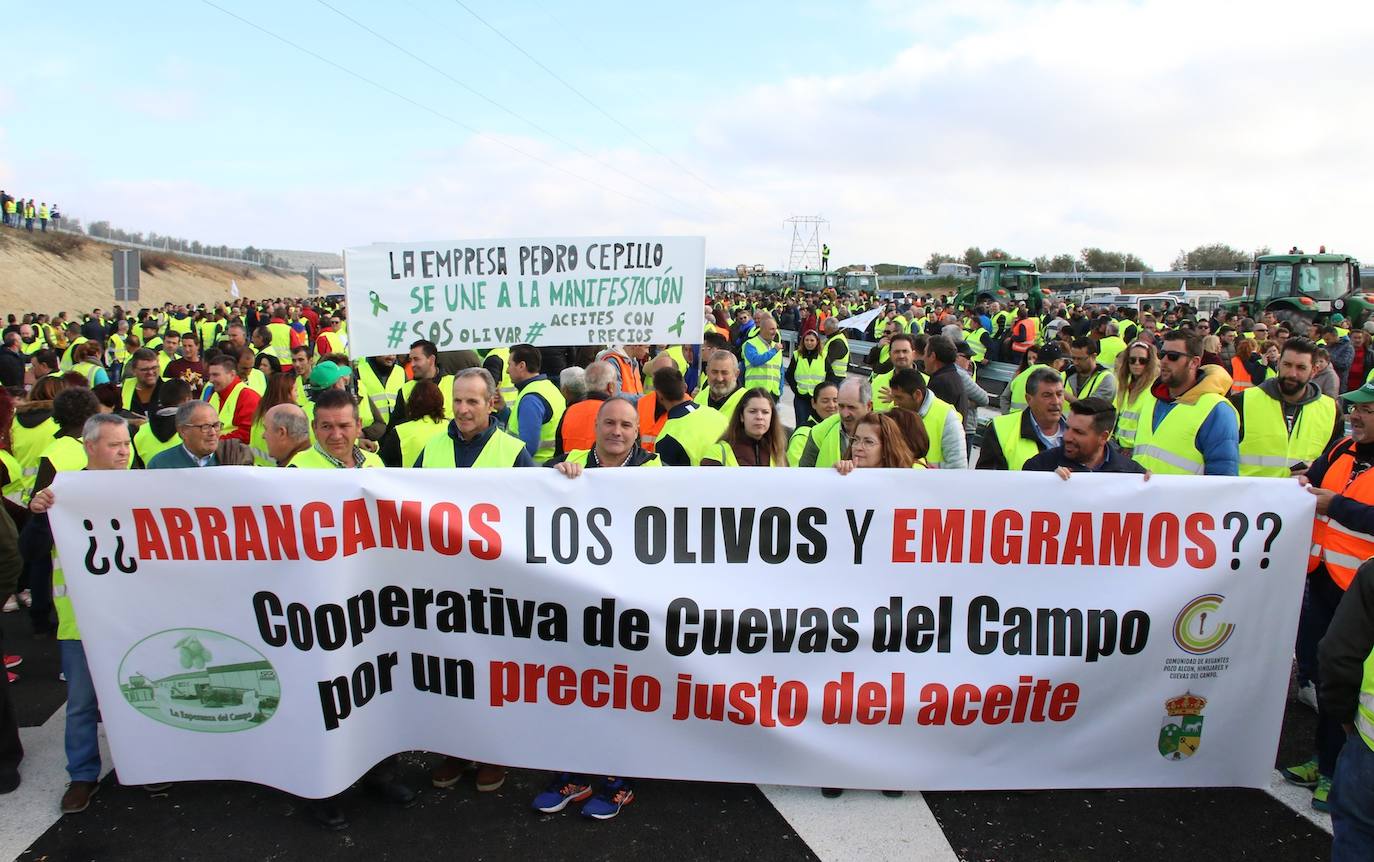 Miles de trabajadores del sector del olivar se han manifestado en toda la provincia de Jaén