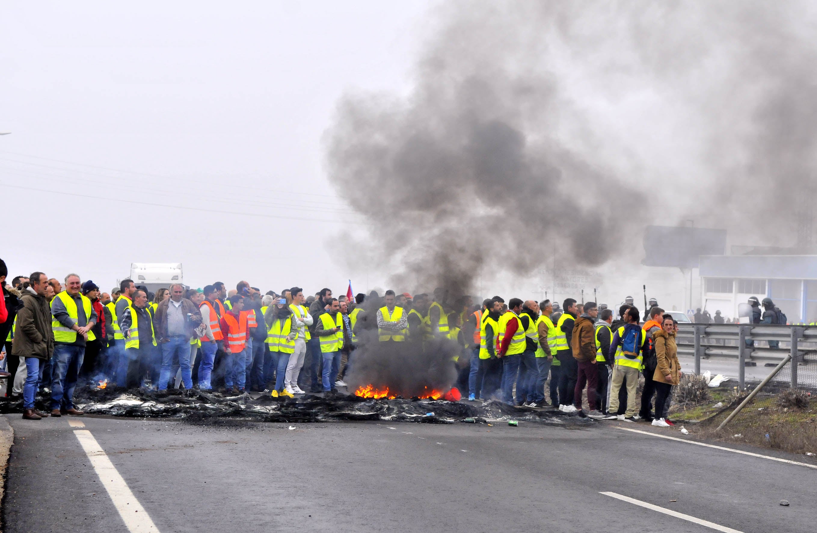 Miles de trabajadores del sector del olivar se han manifestado en toda la provincia de Jaén