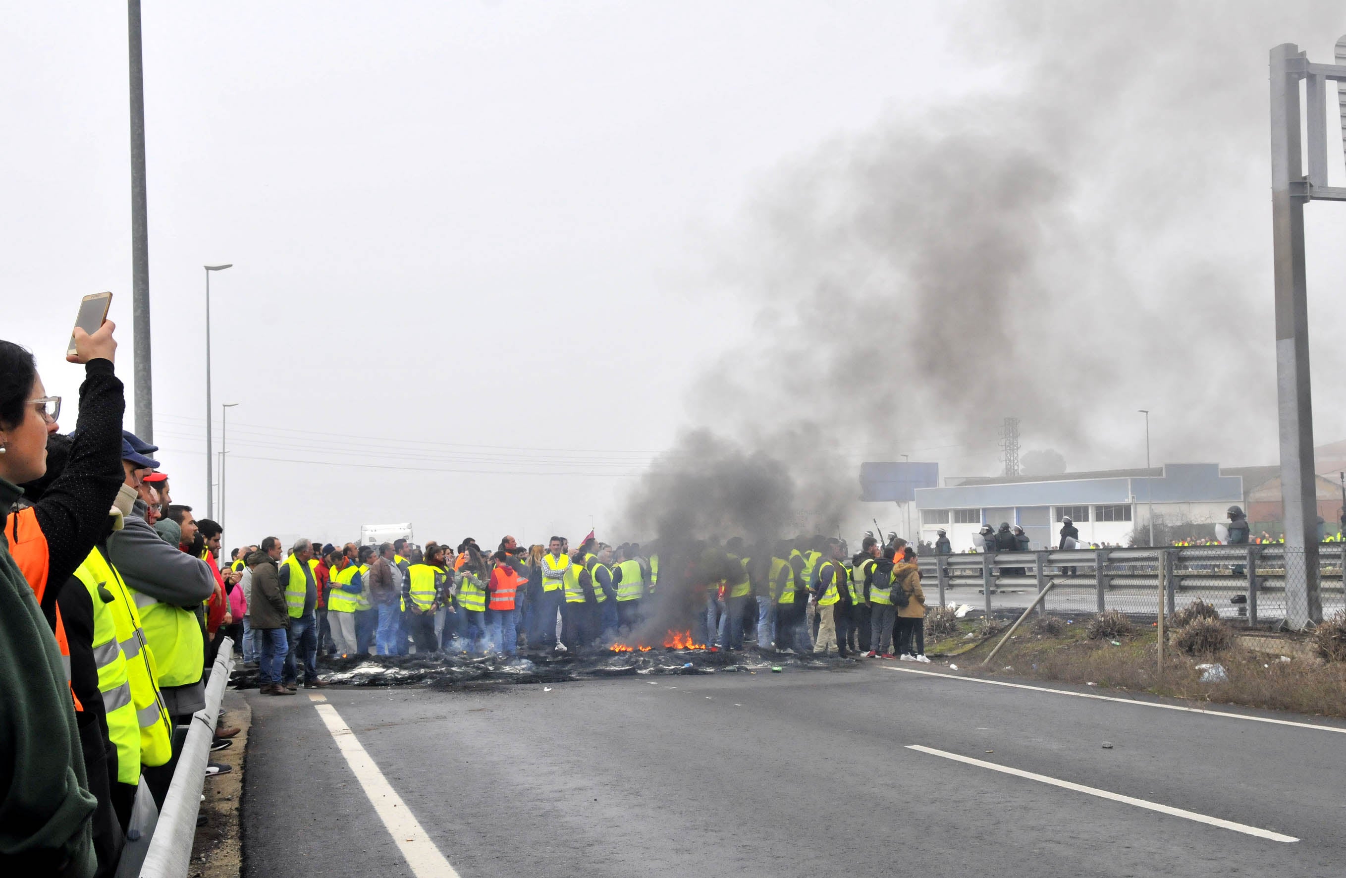 Miles de trabajadores del sector del olivar se han manifestado en toda la provincia de Jaén