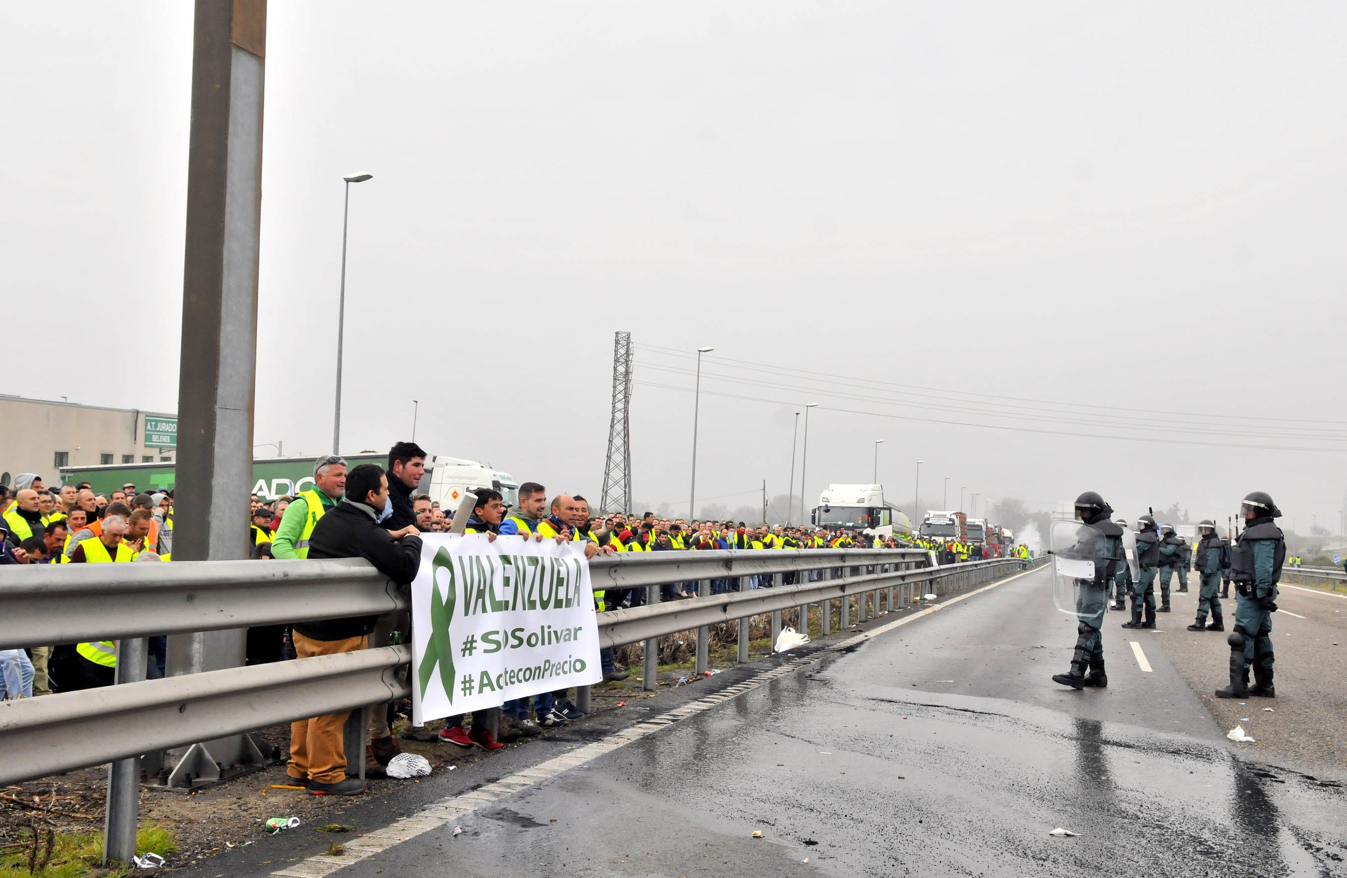 Miles de trabajadores del sector del olivar se han manifestado en toda la provincia de Jaén