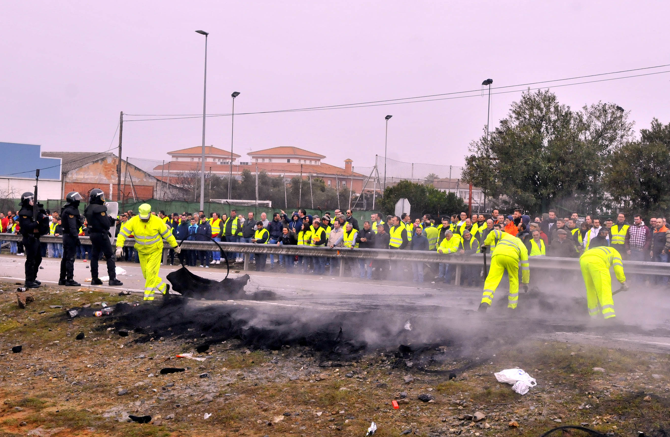 Miles de trabajadores del sector del olivar se han manifestado en toda la provincia de Jaén