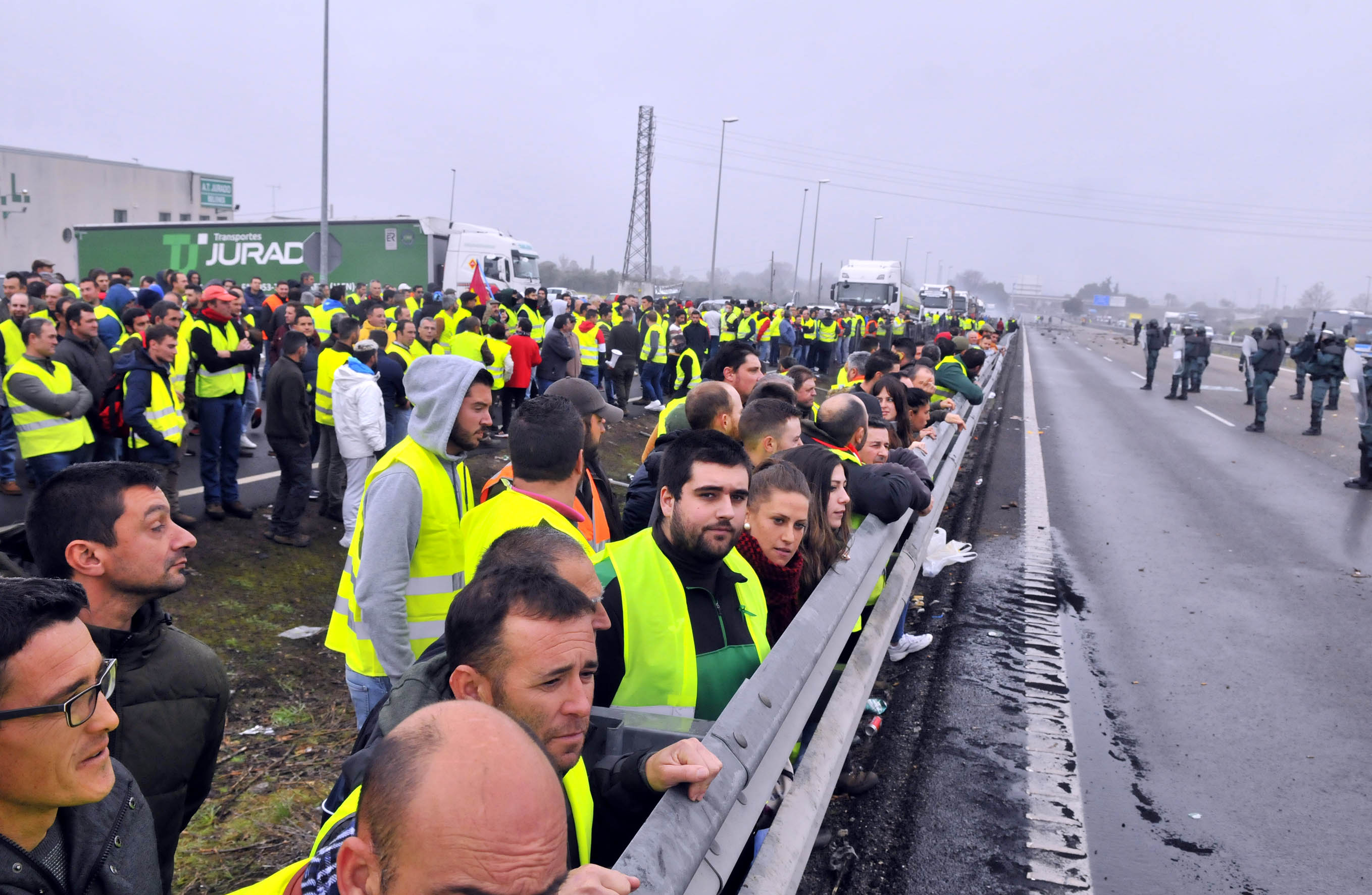 Miles de trabajadores del sector del olivar se han manifestado en toda la provincia de Jaén