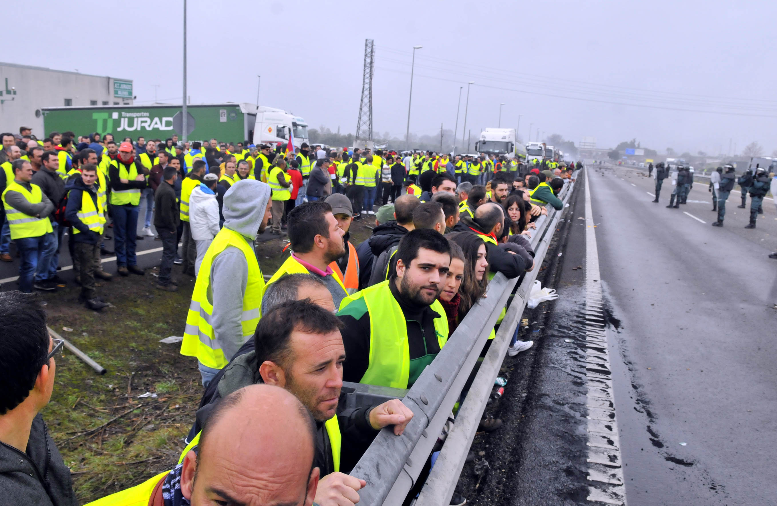 Miles de trabajadores del sector del olivar se han manifestado en toda la provincia de Jaén