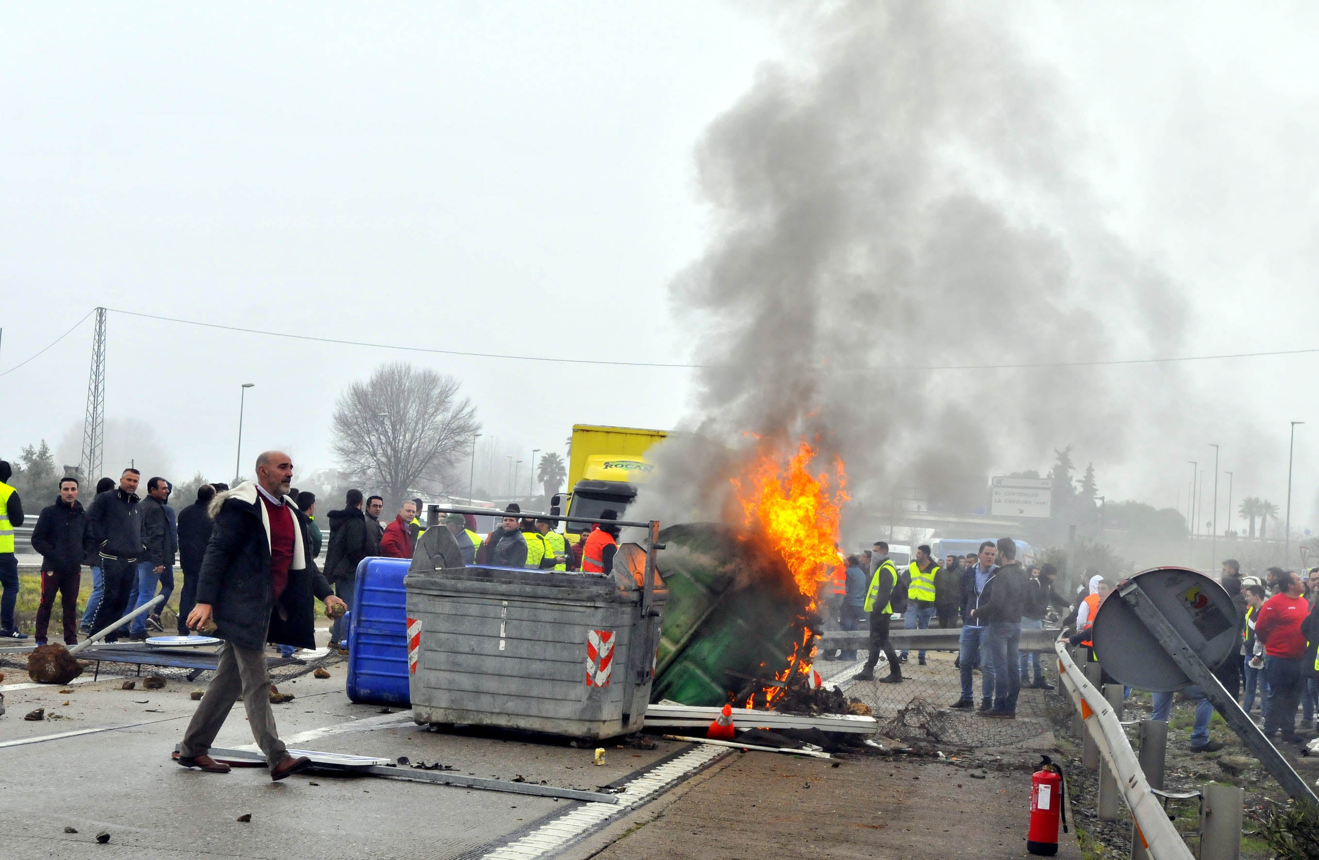 Miles de trabajadores del sector del olivar se han manifestado en toda la provincia de Jaén