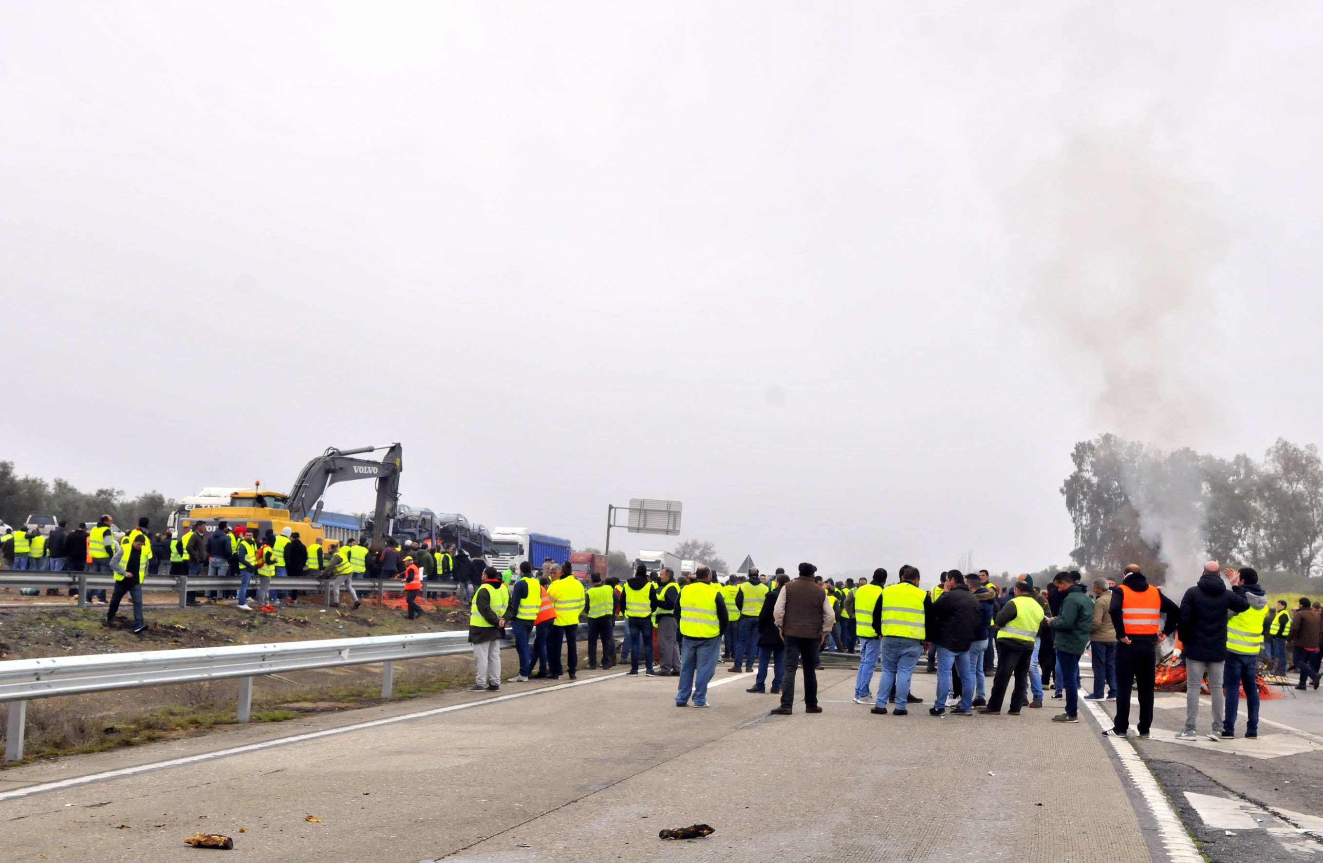 Miles de trabajadores del sector del olivar se han manifestado en toda la provincia de Jaén