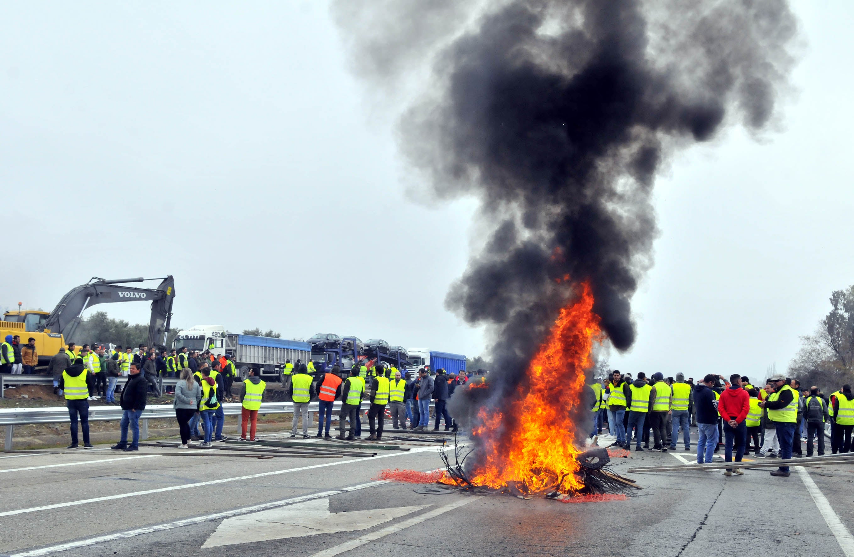 Miles de trabajadores del sector del olivar se han manifestado en toda la provincia de Jaén