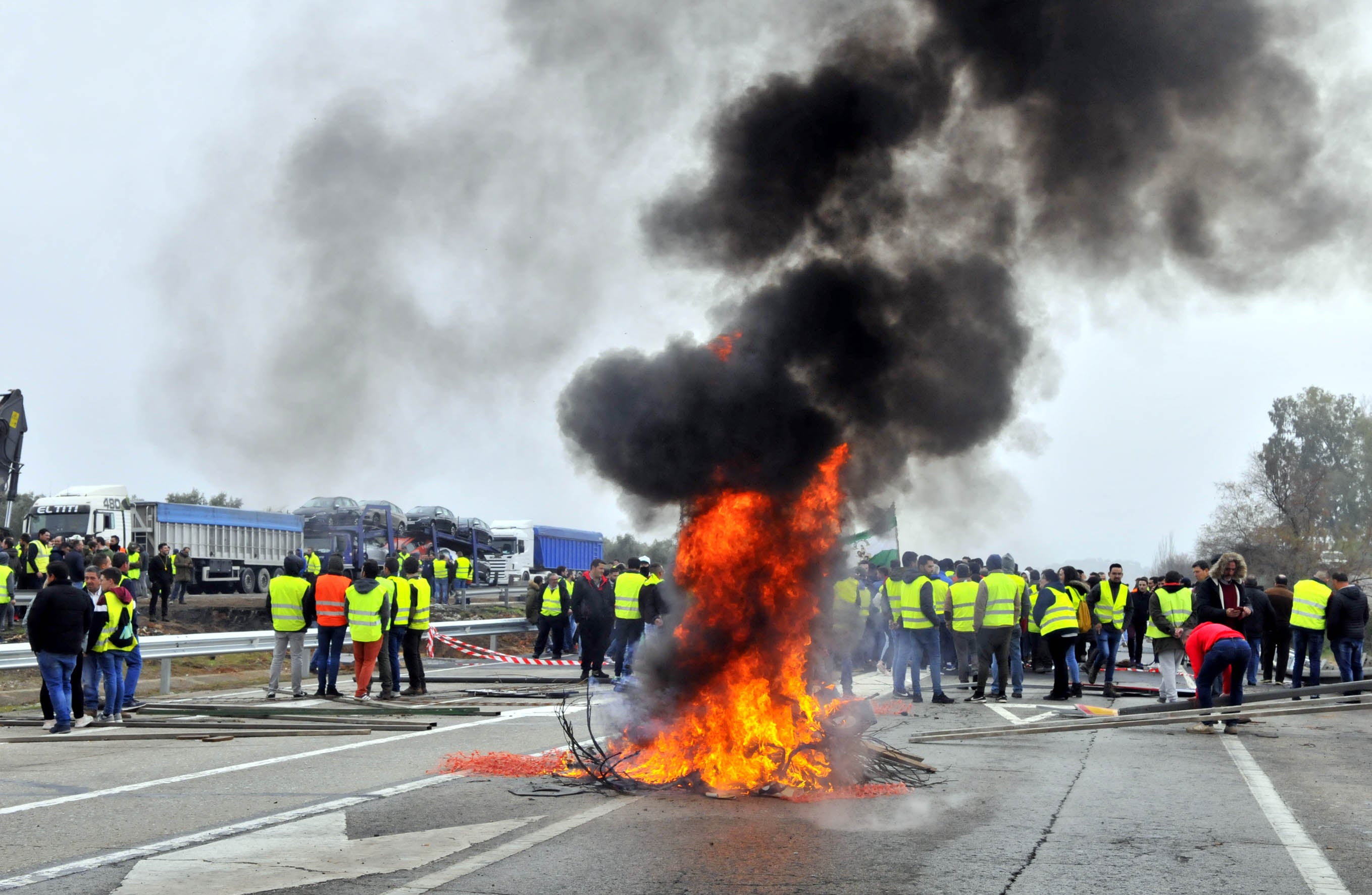 Miles de trabajadores del sector del olivar se han manifestado en toda la provincia de Jaén
