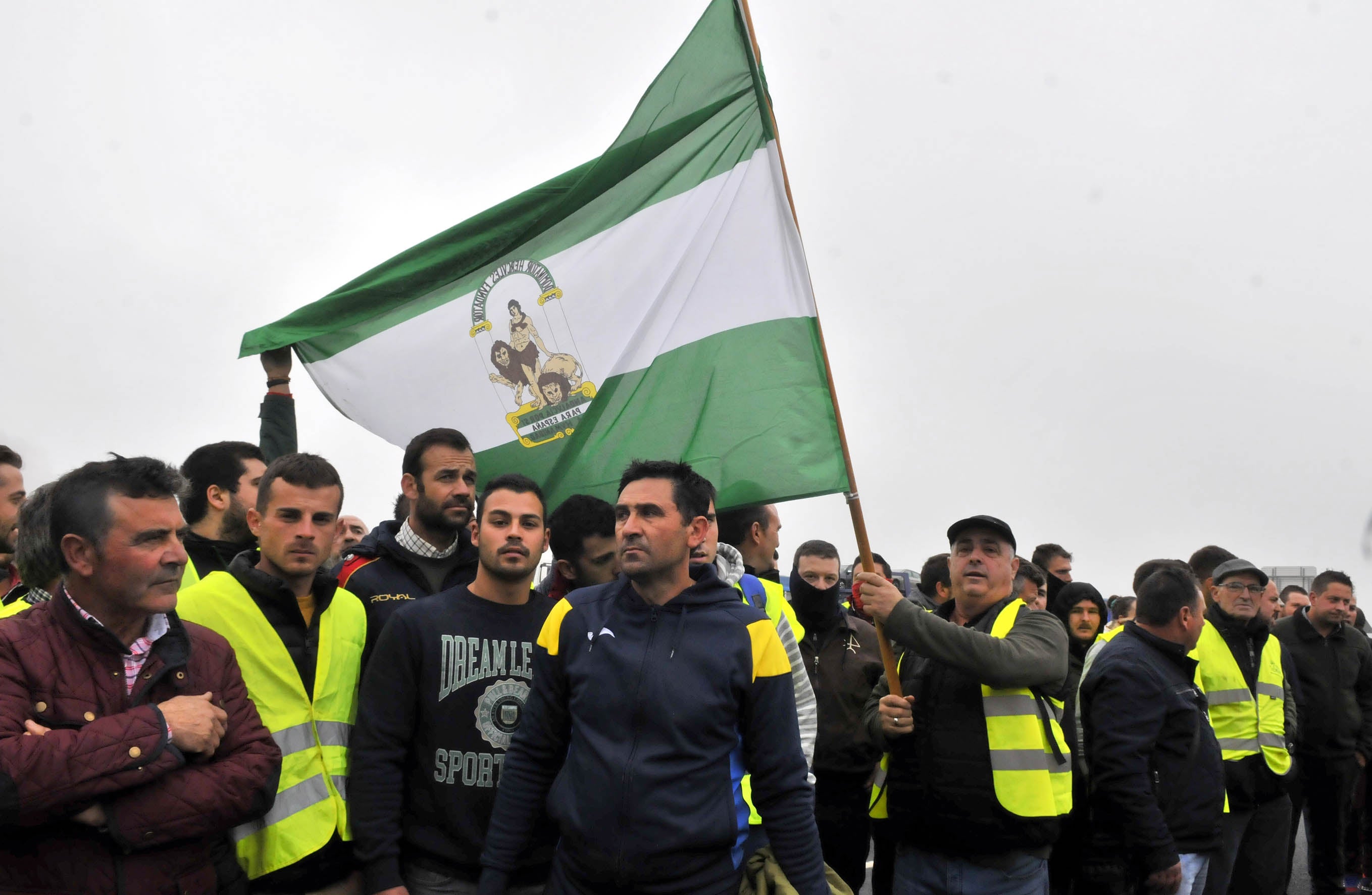 Miles de trabajadores del sector del olivar se han manifestado en toda la provincia de Jaén