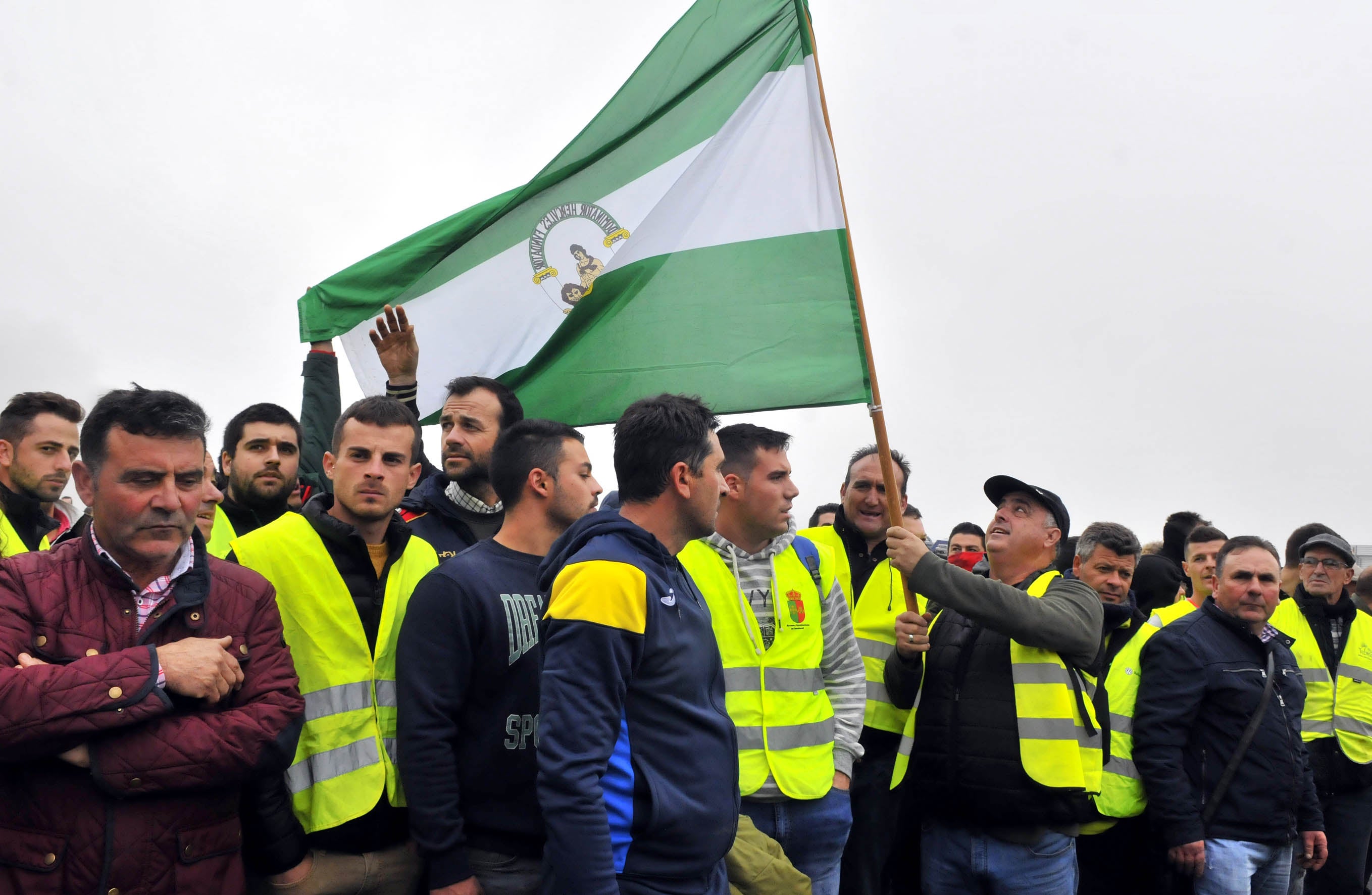 Miles de trabajadores del sector del olivar se han manifestado en toda la provincia de Jaén