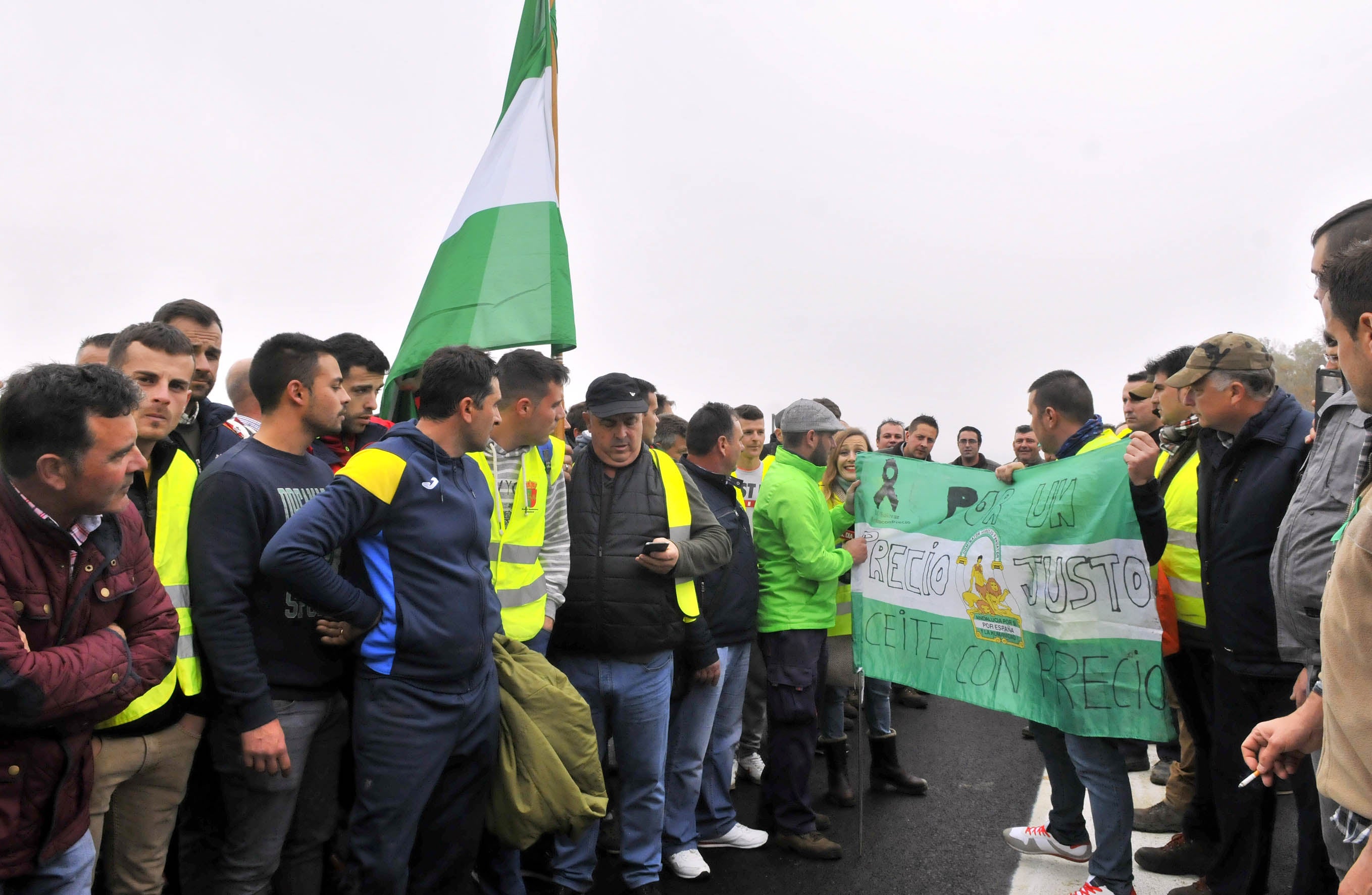Miles de trabajadores del sector del olivar se han manifestado en toda la provincia de Jaén