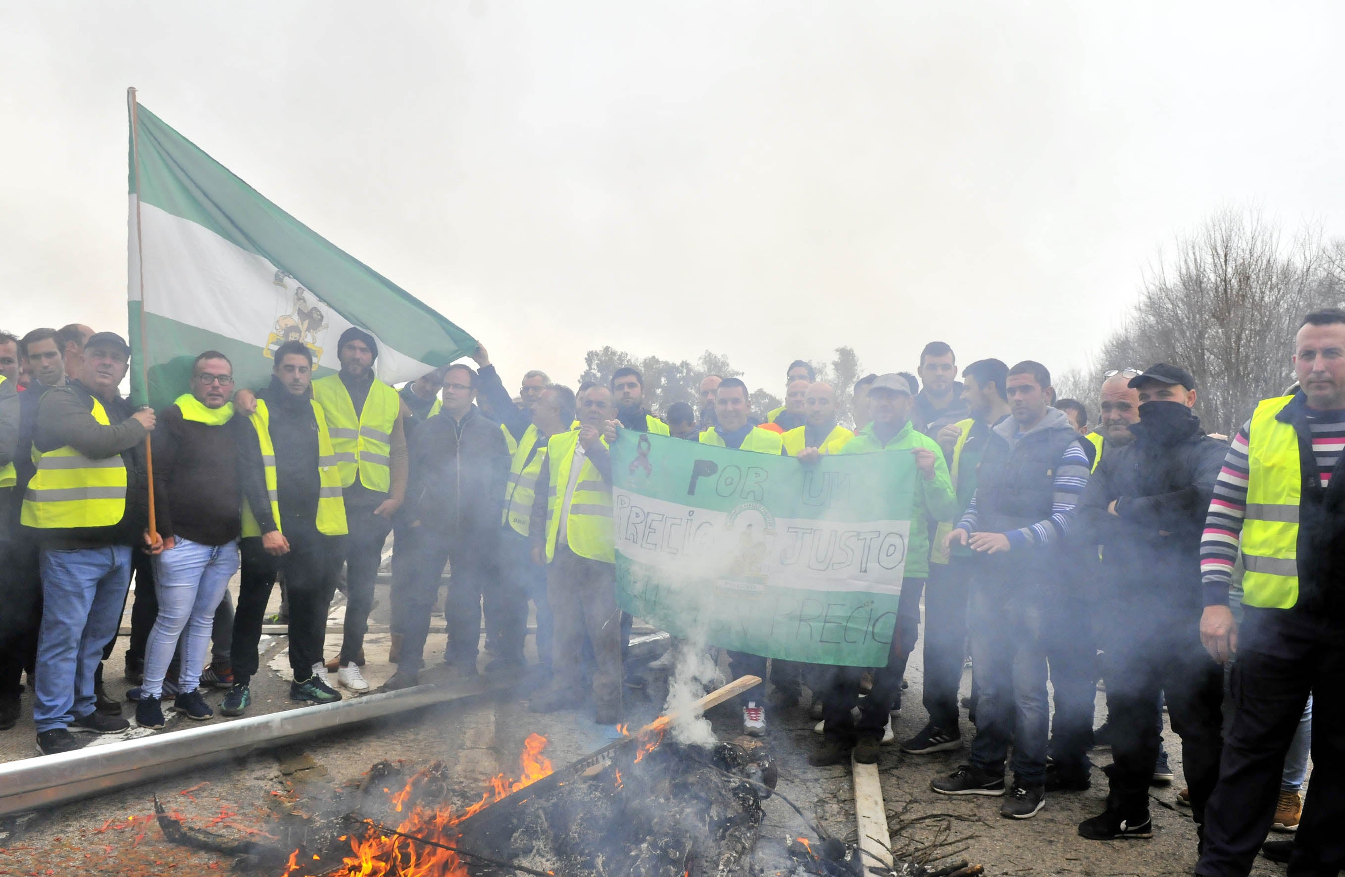 Miles de trabajadores del sector del olivar se han manifestado en toda la provincia de Jaén